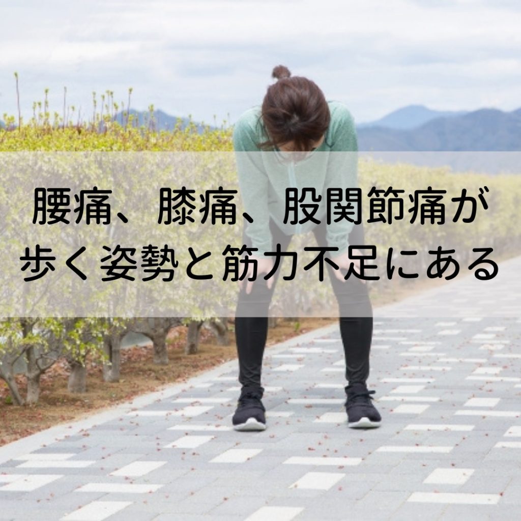 腰痛.膝痛.股関節痛.改善.原因.解消法.肩こり.足の歪み